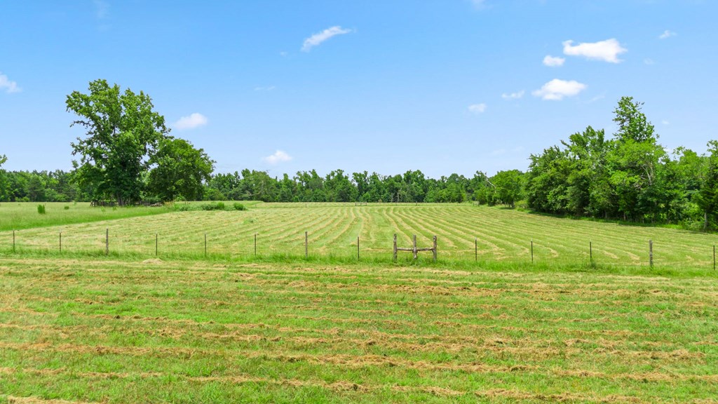 0 Fm 1211 Rusk, TX 75785 - Photo 4 of 14