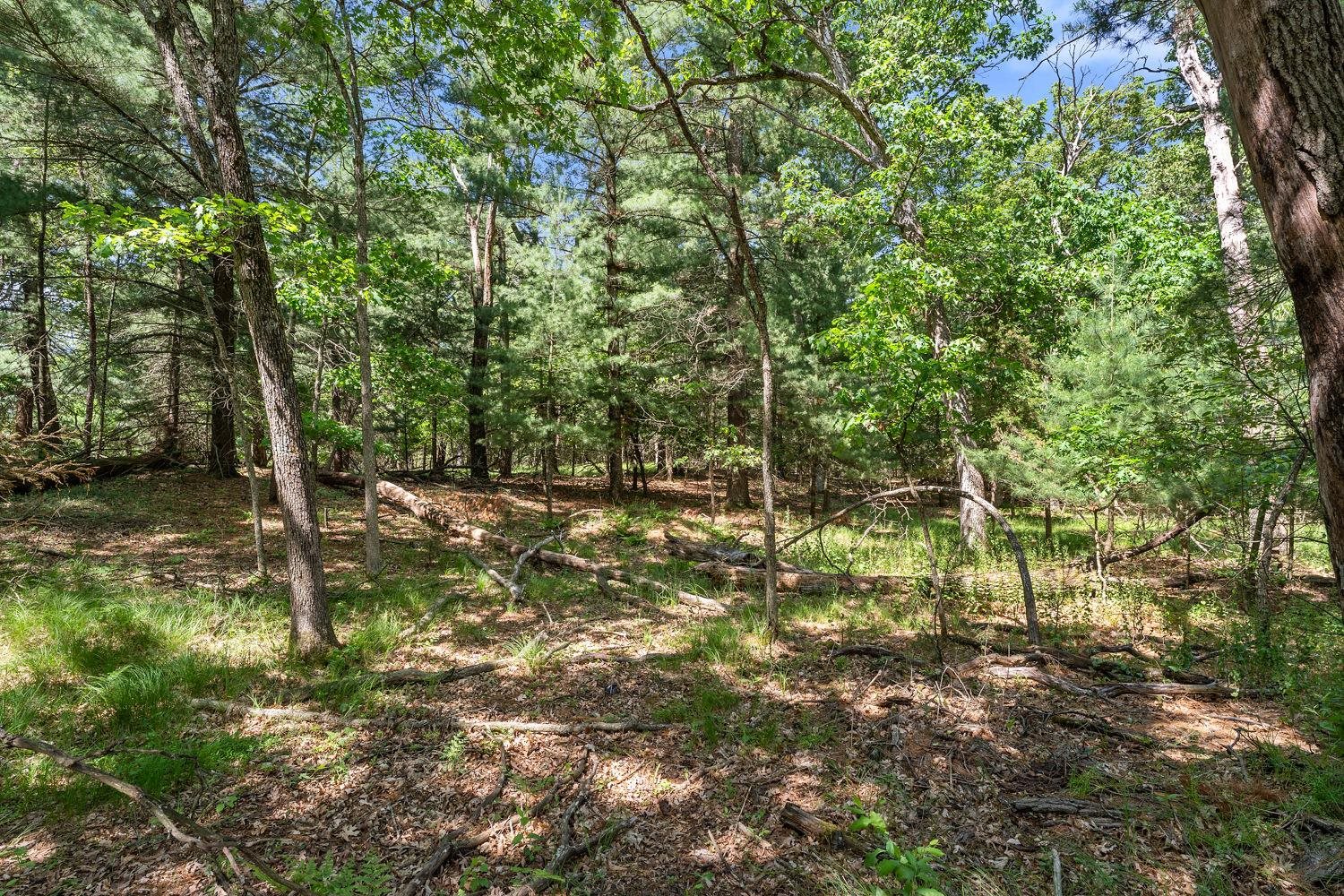 N4755 County Rd HH Mauston, WI 53948 - Photo 51 of 57