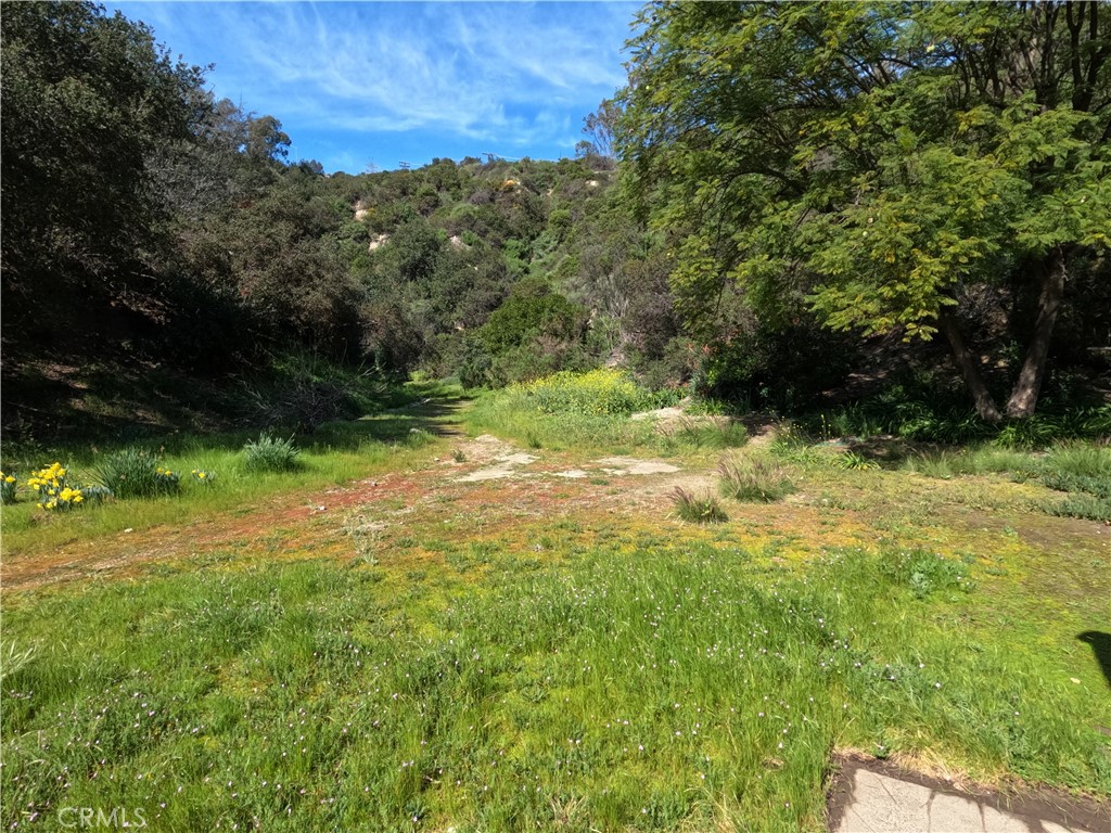 1515 Belleau Road Glendale, CA 91206 - Photo 24 of 35 a view of a yard with a tree