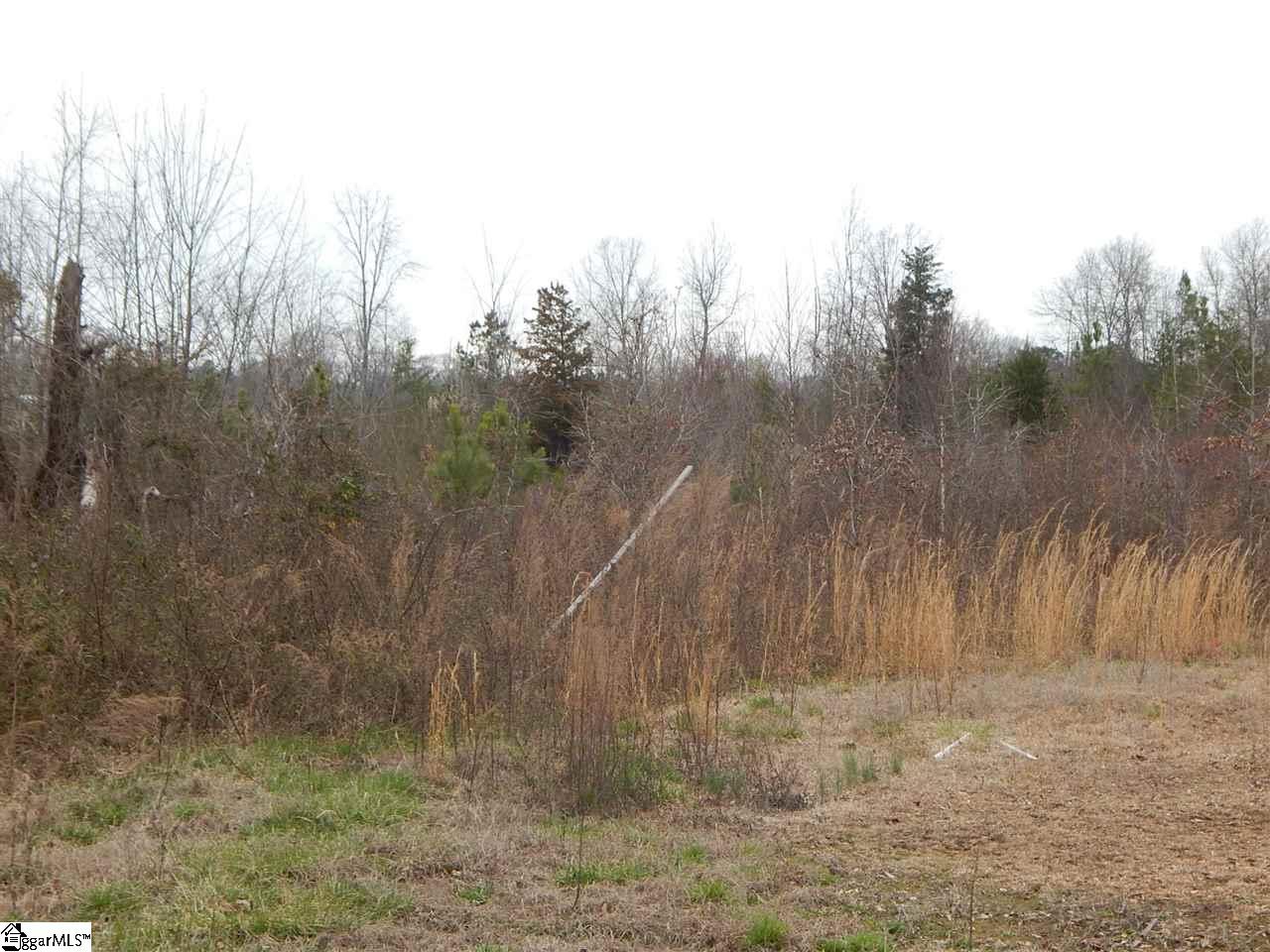 116 Robin Lake Road Duncan, SC 29334 - Photo 4 of 5
