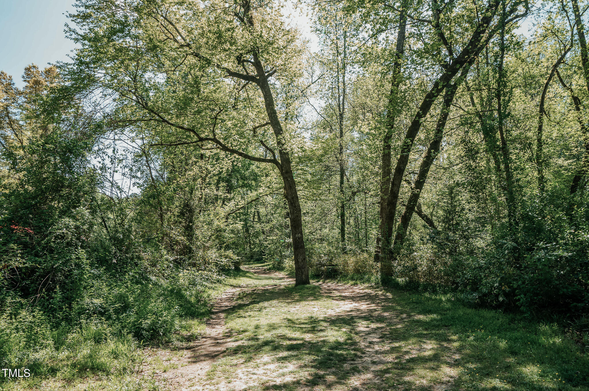 1439 Duplin Road Raleigh, NC 27607 - Photo 78 of 78 a view of a forest with trees in the background