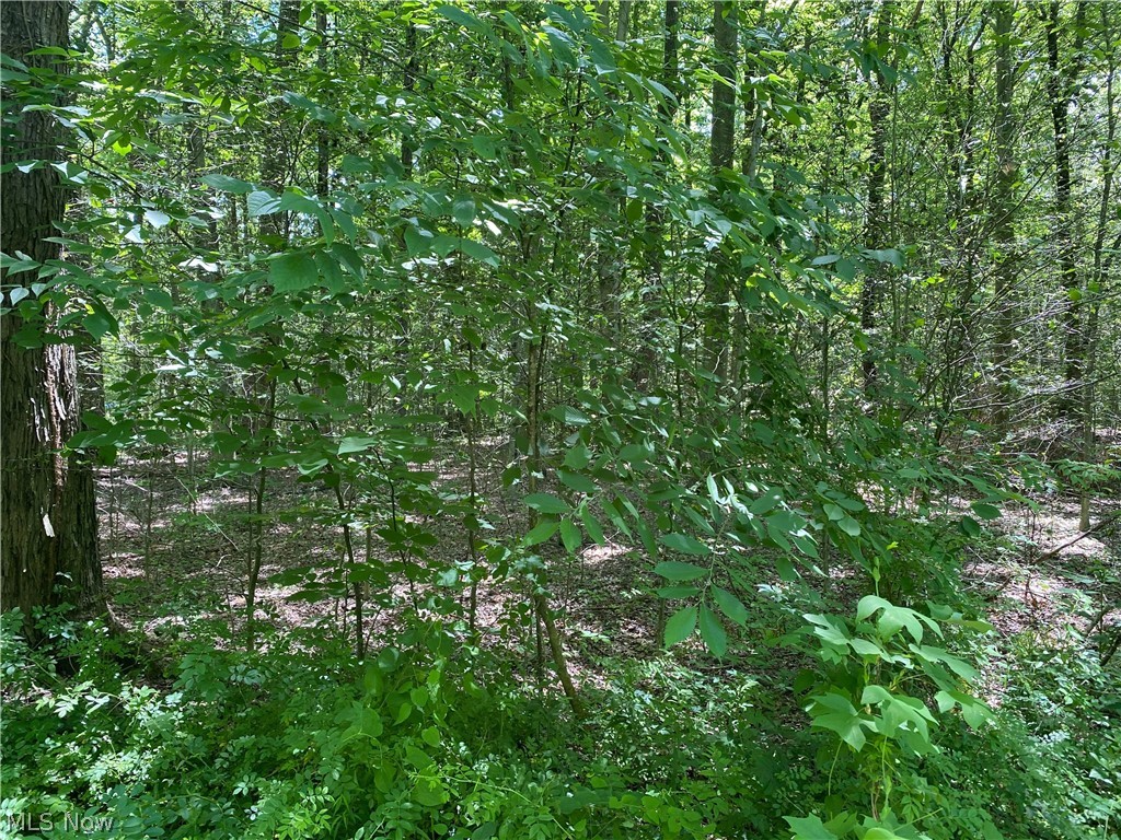 V/l Winchell Road Mantua, OH 44255 - Photo 2 of 4