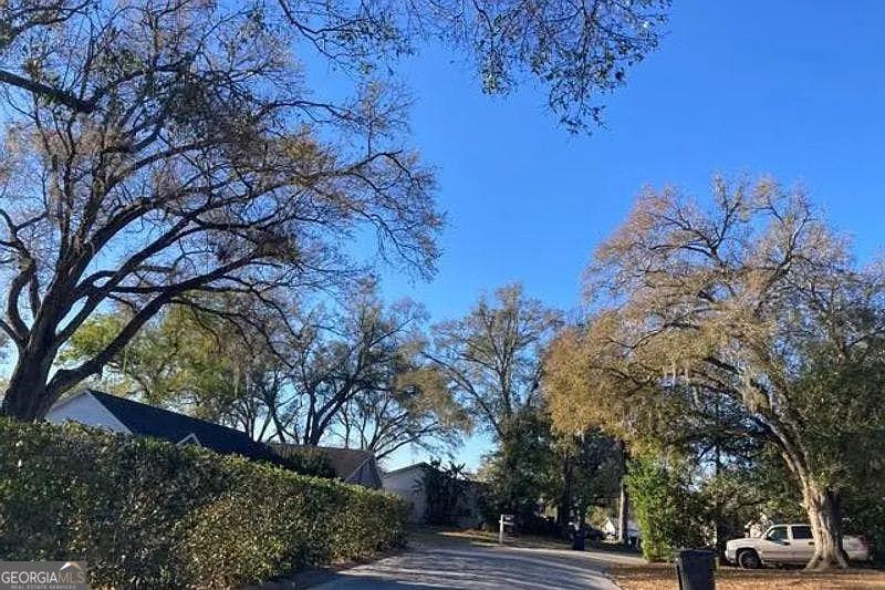 1017 Ridgefield Drive Valrico, FL 33594 - Photo 4 of 5