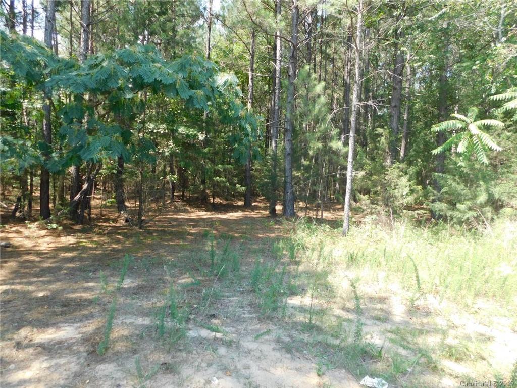 0 Chappell Road McConnells, SC 29726 - Photo 1 of 6 Gallery Image 1