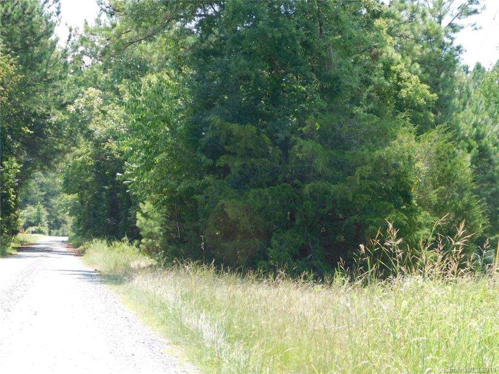 0 Chappell Road McConnells, SC 29726 - Photo 4 of 6 Gallery Image 4