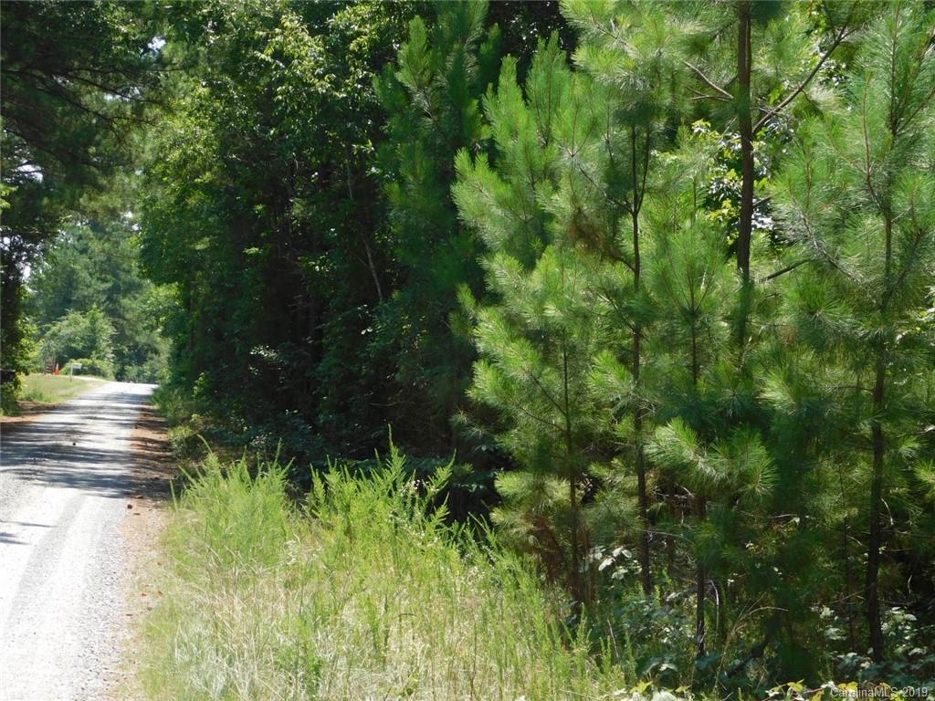 0 Chappell Road McConnells, SC 29726 - Photo 5 of 6 Gallery Image 5