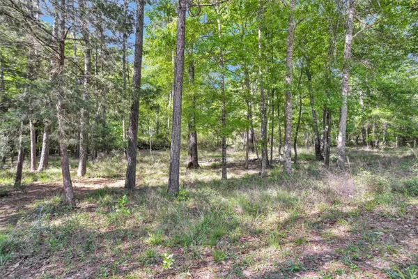 $296,000 | 13713 Sarah Cir Drive, Willis, TX 77378