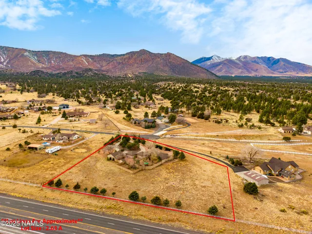 an empty room with wooden floor fireplace and windows