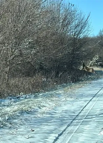 $6,500 | 197 Sycamore Drive, Linn Valley, KS 66040