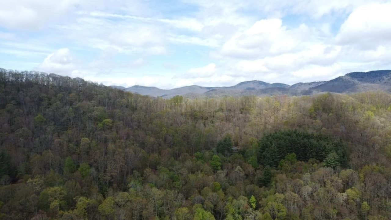 36 Coachman Drive Road Tuckasegee, NC 28783 - Photo 12 of 16 Gallery Image 12