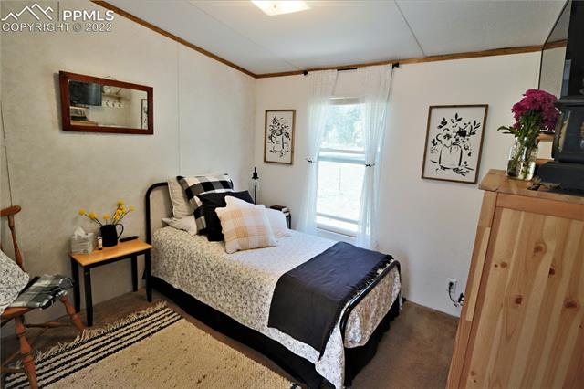 257 Sioux Road Florissant, CO 80816 - Photo 24 of 27 Gallery Image 24