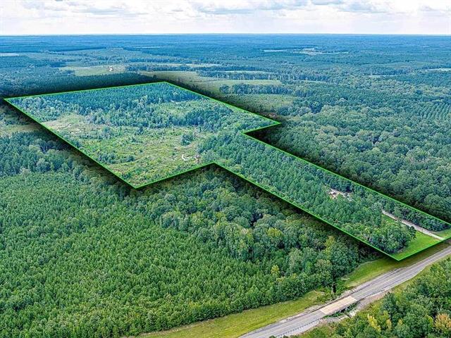 2350 Highway 499 Sikes, LA 71473 - Photo 2 of 5