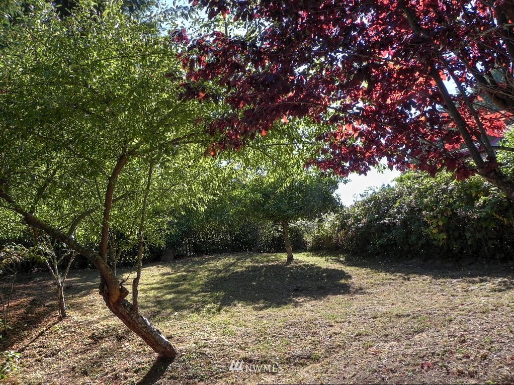 70 East Rustle Way Grapeview, WA 98546 - Photo 21 of 22