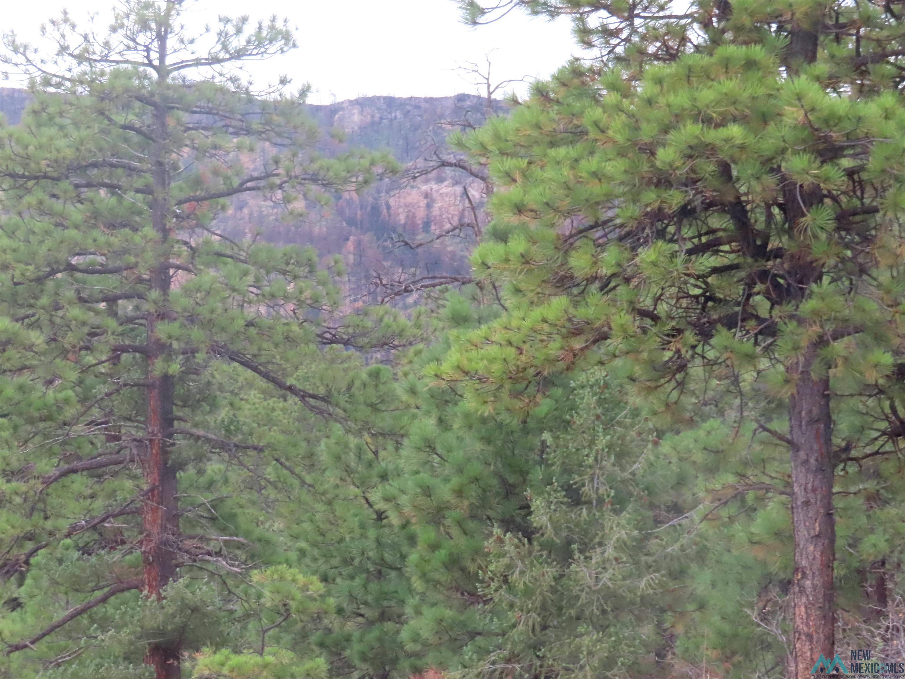 1045-ac Branch Road Mora, NM 87732 - Photo 32 of 40 Gallery Image 32