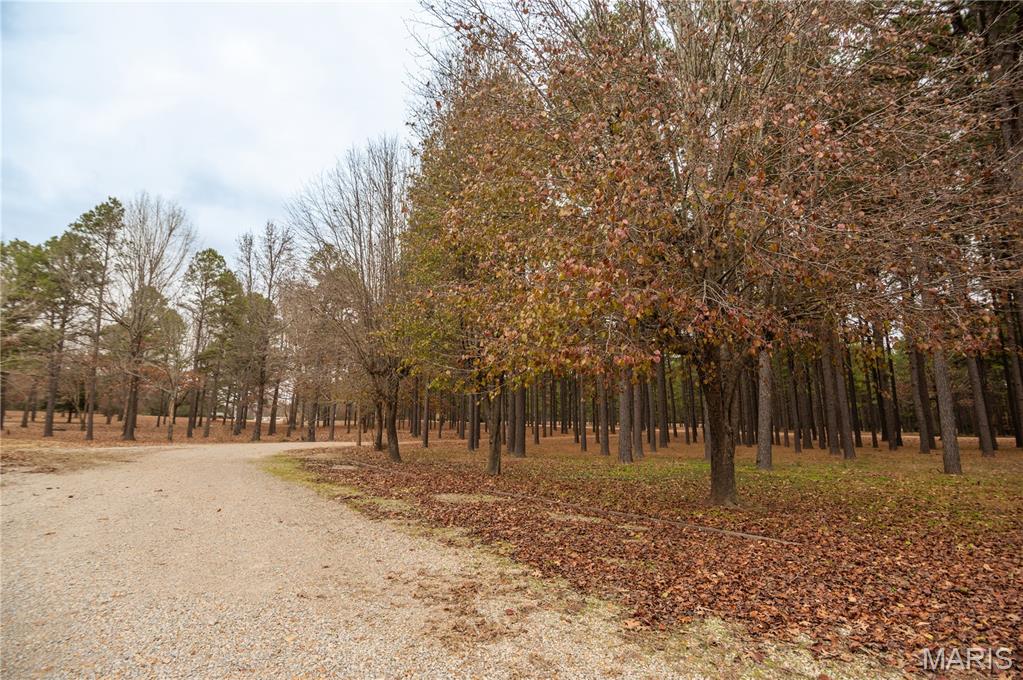 41 County Road 1851 Success, AR 72470 - Photo 54 of 71