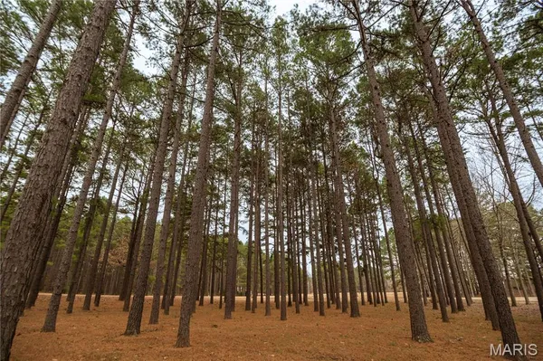 $650,000 | 41 County Road 1851, Success, AR 72470