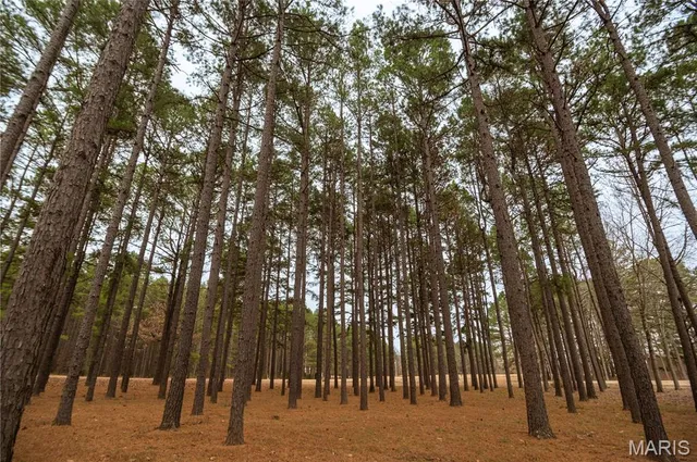 $650,000 | 41 County Road 1851, Success, AR 72470