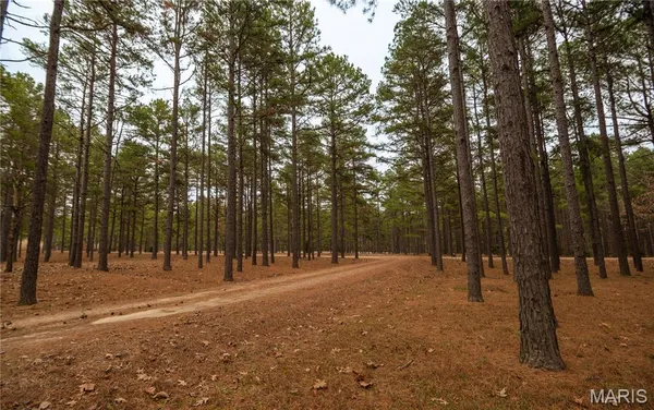 $650,000 | 41 County Road 1851, Success, AR 72470