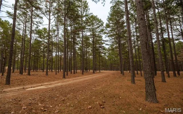 $650,000 | 41 County Road 1851, Success, AR 72470