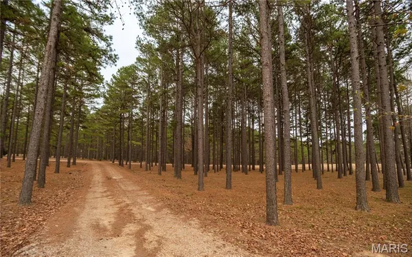 $647,500 | 41 County Road 1851, Success, AR 72470