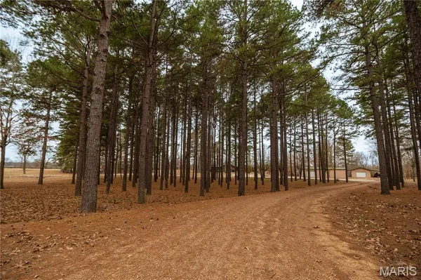 $647,500 | 41 County Road 1851, Success, AR 72470