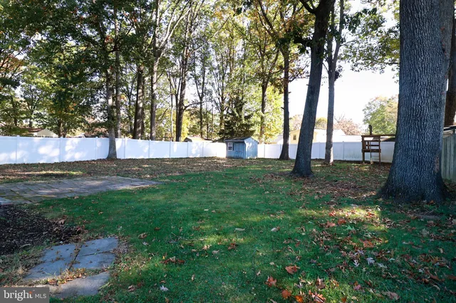 a view of backyard with tree