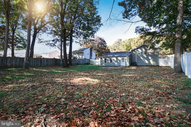 a view of a yard with plants and trees
