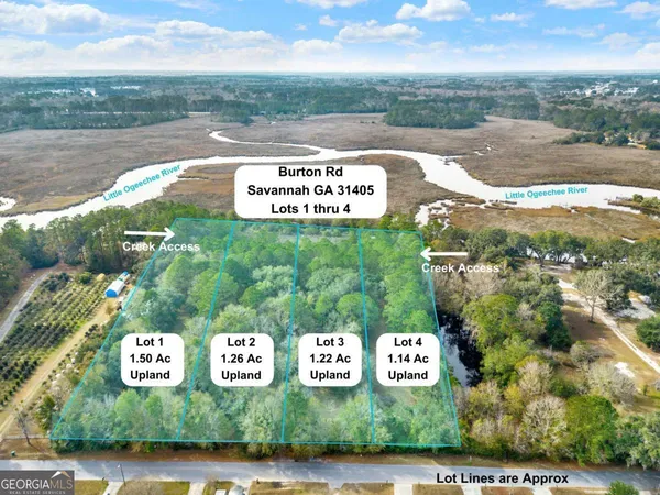 a view of yard with green space