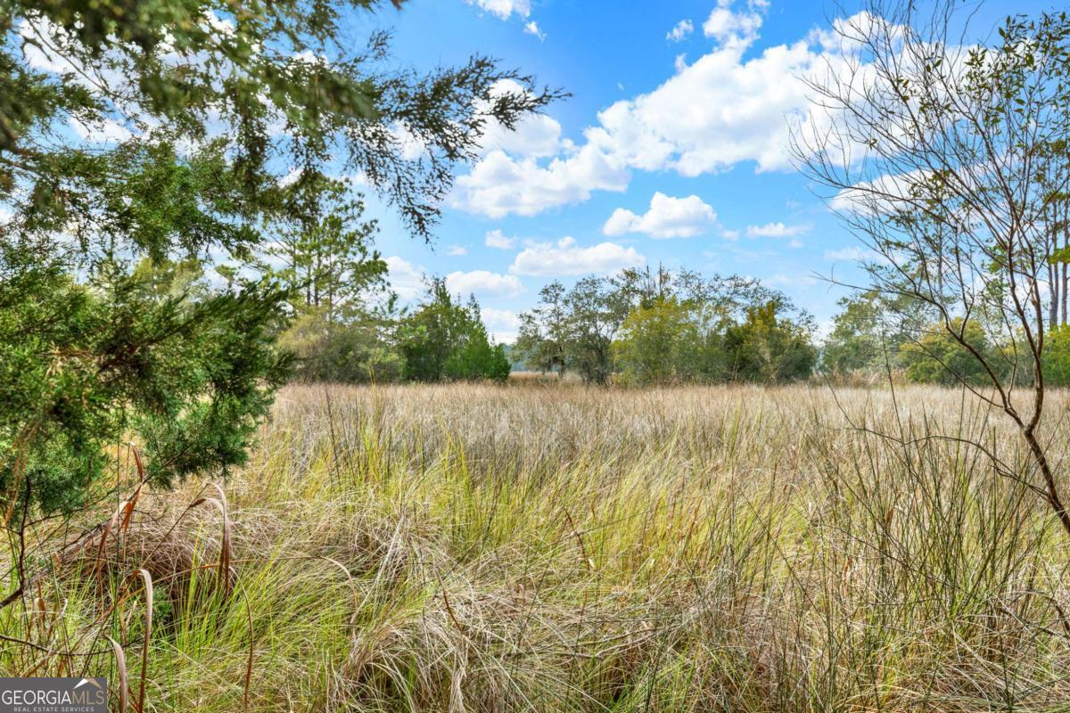 181-199 Burton Road Savannah, GA 31405 - Photo 13 of 34 a view of yard with swimming pool and green space