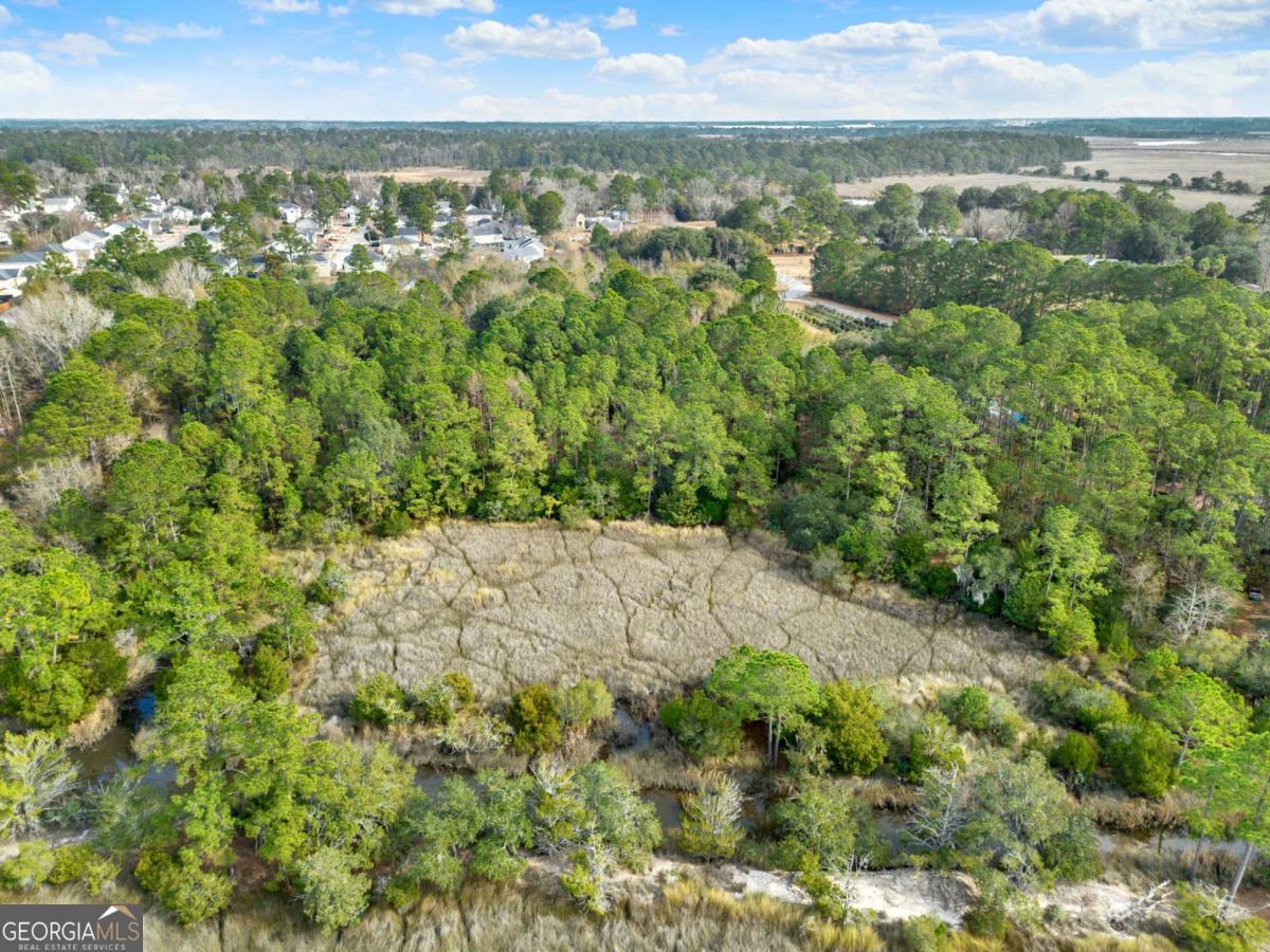 181-199 Burton Road Savannah, GA 31405 - Photo 14 of 34 a view of a city with lush green forest