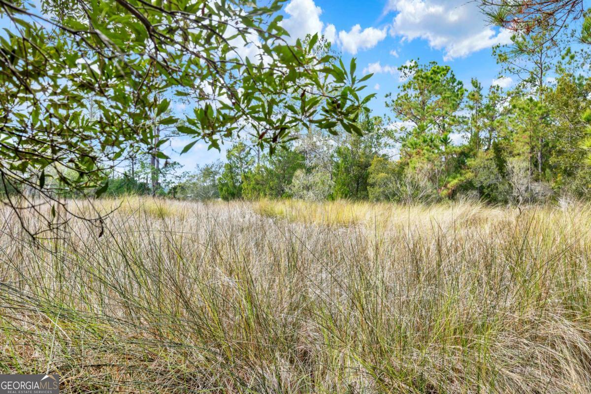 181-199 Burton Road Savannah, GA 31405 - Photo 15 of 34 a view of lake with a tree