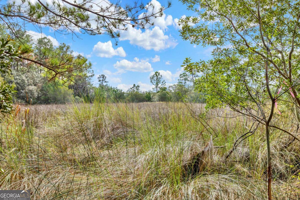 181-199 Burton Road Savannah, GA 31405 - Photo 16 of 34 a view of lake with green space