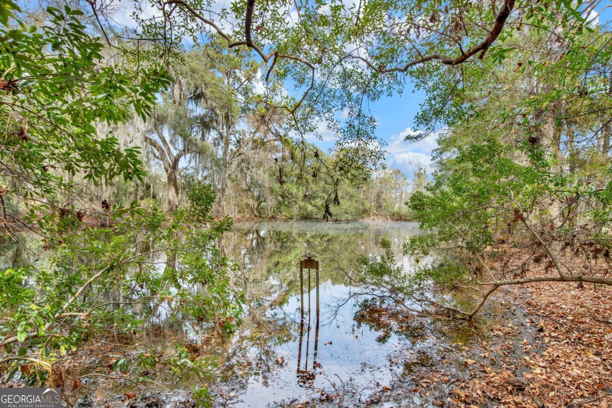 181-199 Burton Road Savannah, GA 31405 - Photo 17 of 34 a view of a yard with large trees
