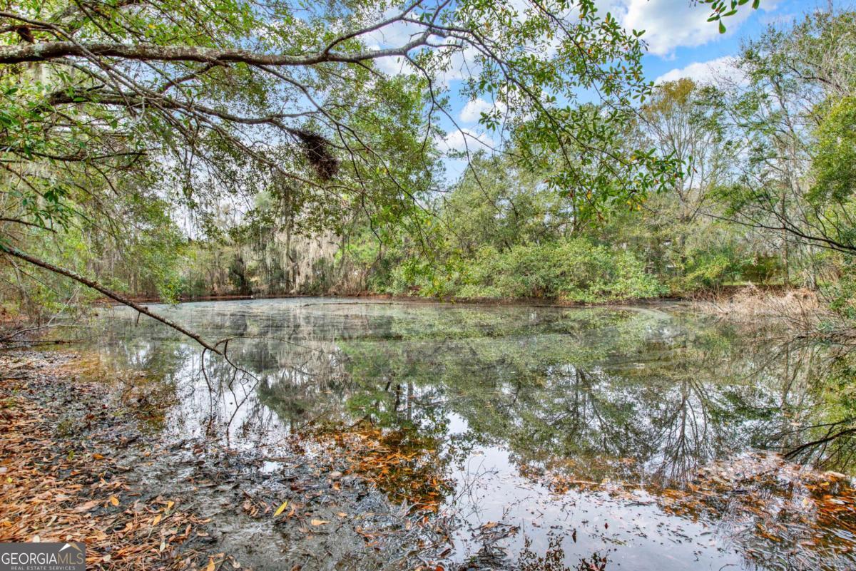 181-199 Burton Road Savannah, GA 31405 - Photo 18 of 34 a view of a yard with a tree