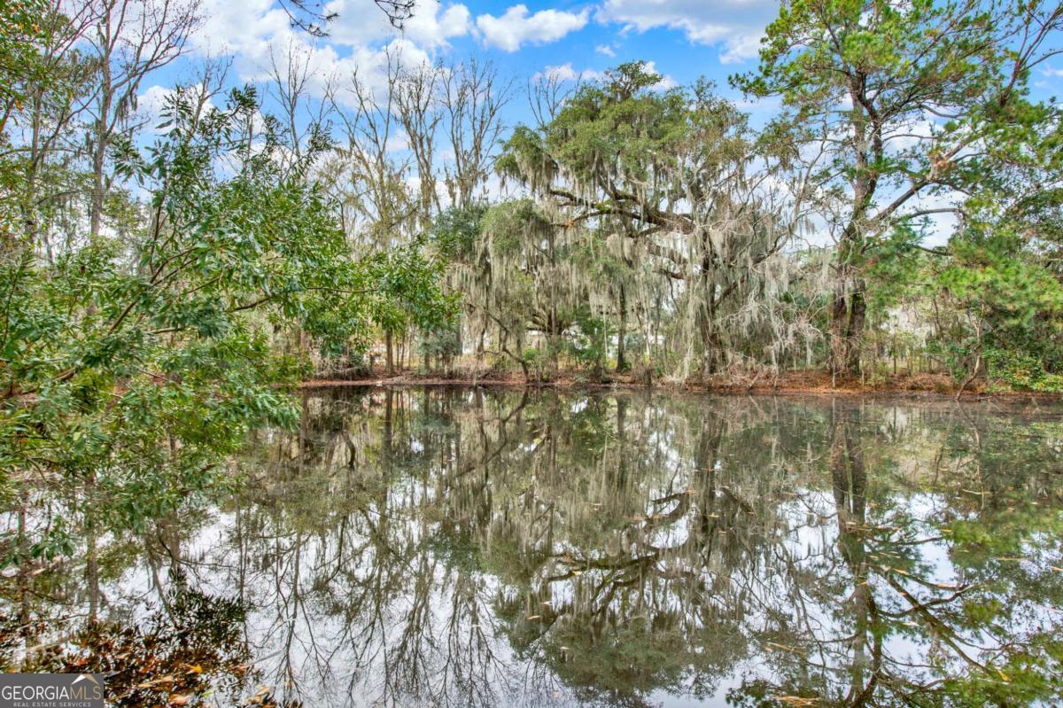 181-199 Burton Road Savannah, GA 31405 - Photo 19 of 34 a backyard of a house with lots of green space