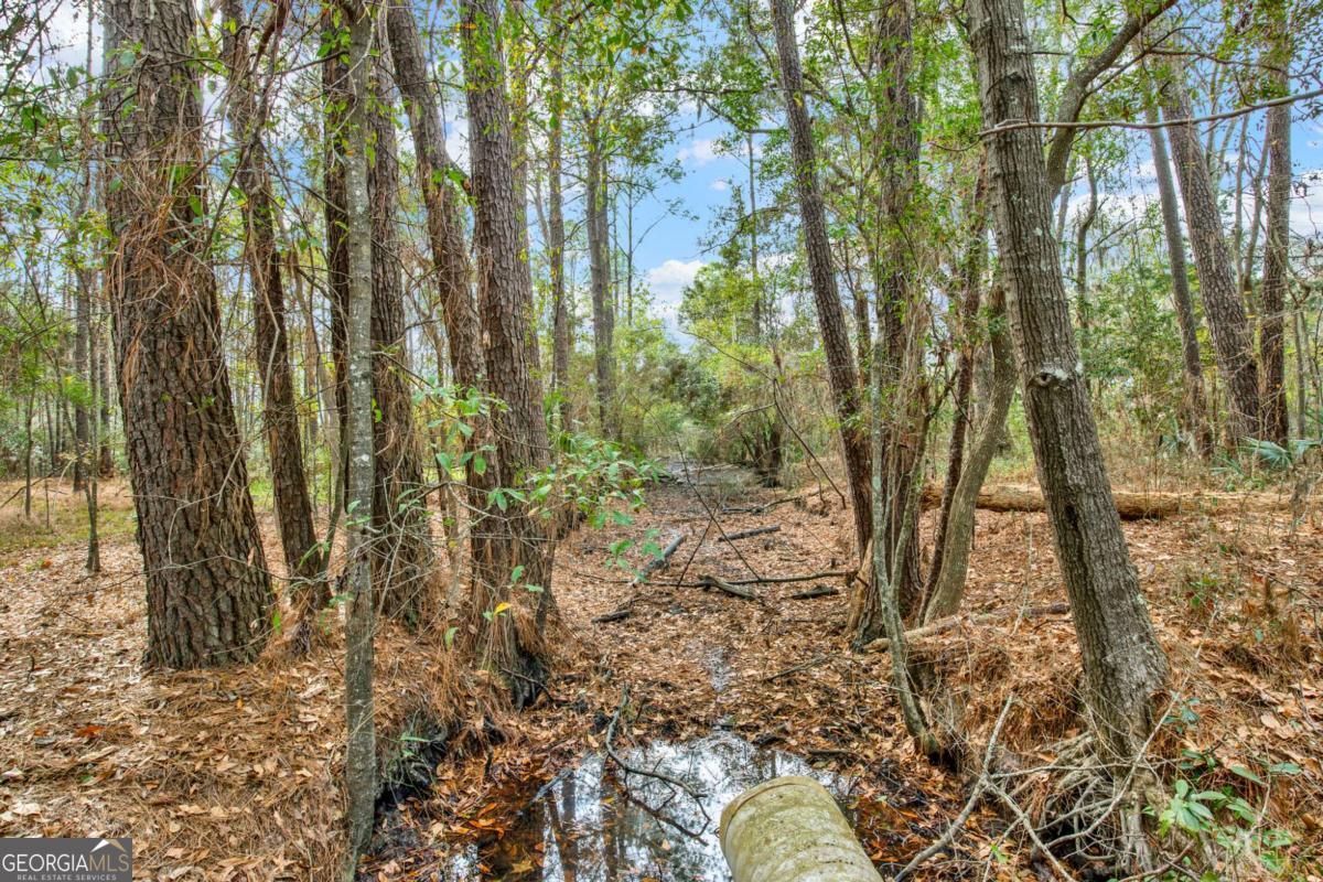 181-199 Burton Road Savannah, GA 31405 - Photo 20 of 34 a view of yard