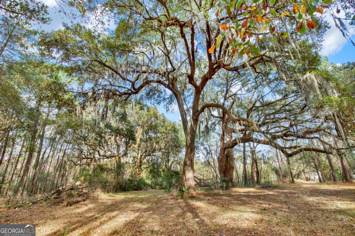 181-199 Burton Road Savannah, GA 31405 - Photo 22 of 34 a view of outdoor space with yard