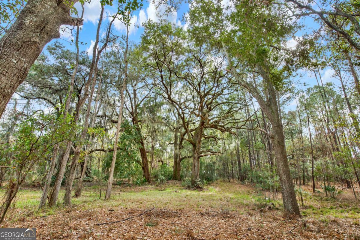 181-199 Burton Road Savannah, GA 31405 - Photo 23 of 34 a view of outdoor space and trees
