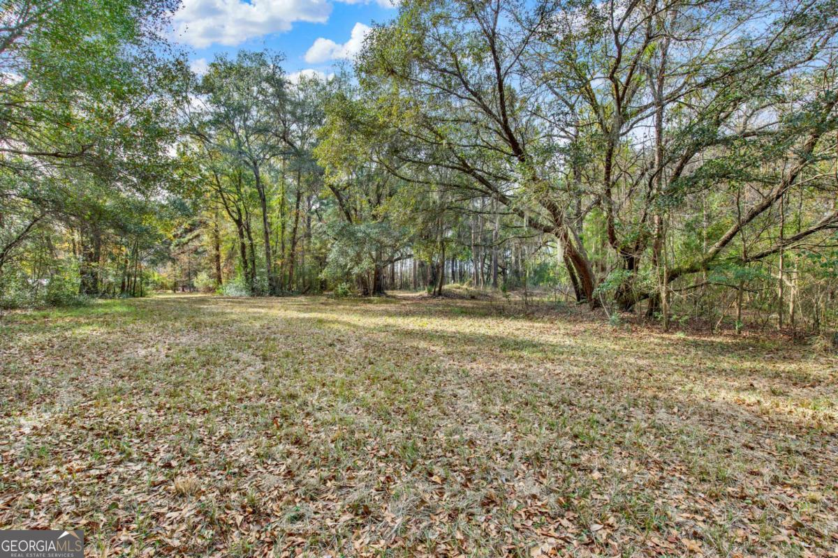 181-199 Burton Road Savannah, GA 31405 - Photo 25 of 34 a view of outdoor space with trees