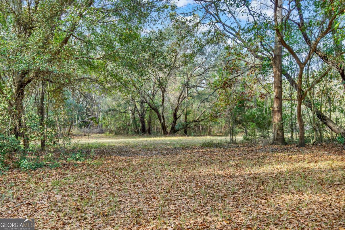 181-199 Burton Road Savannah, GA 31405 - Photo 26 of 34 a view of a yard with a tree