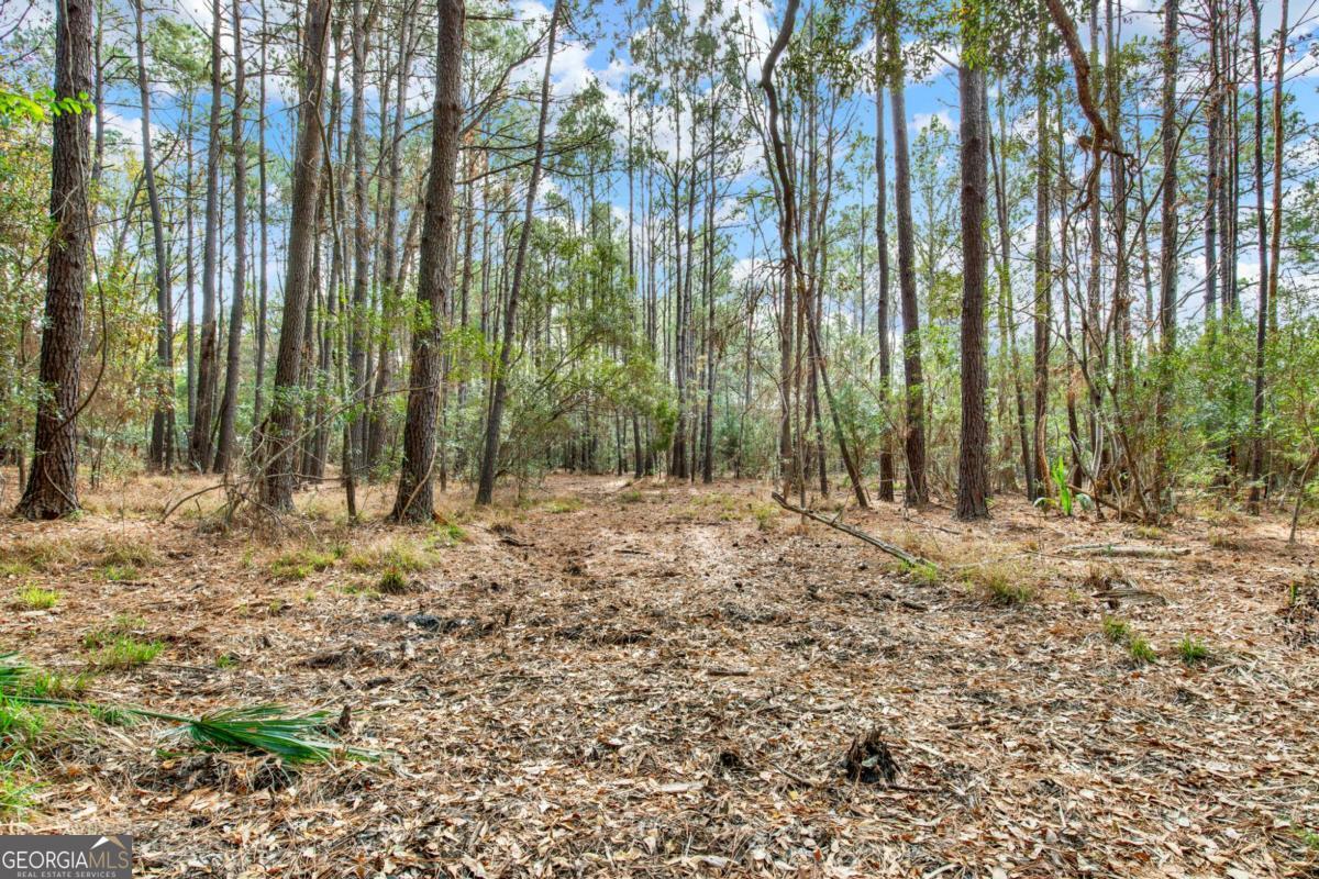 181-199 Burton Road Savannah, GA 31405 - Photo 29 of 34 a view of outdoor space with trees