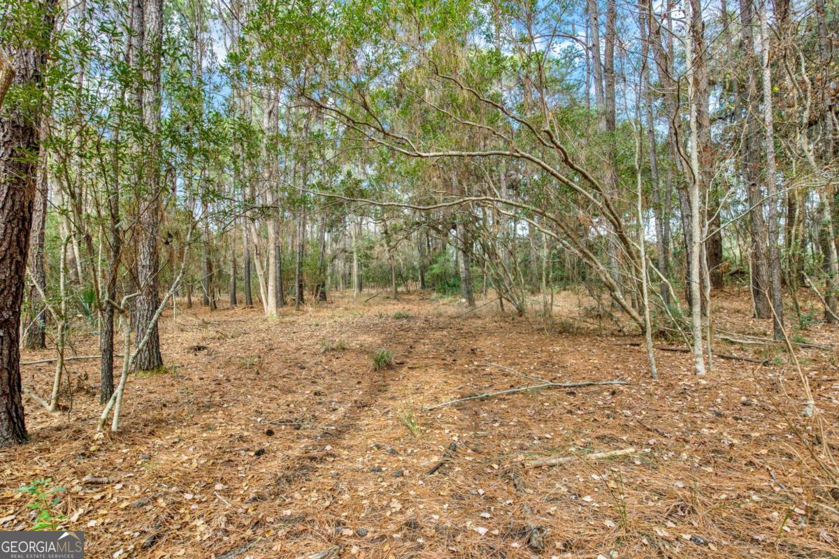 181-199 Burton Road Savannah, GA 31405 - Photo 30 of 34 a view of backyard with green space