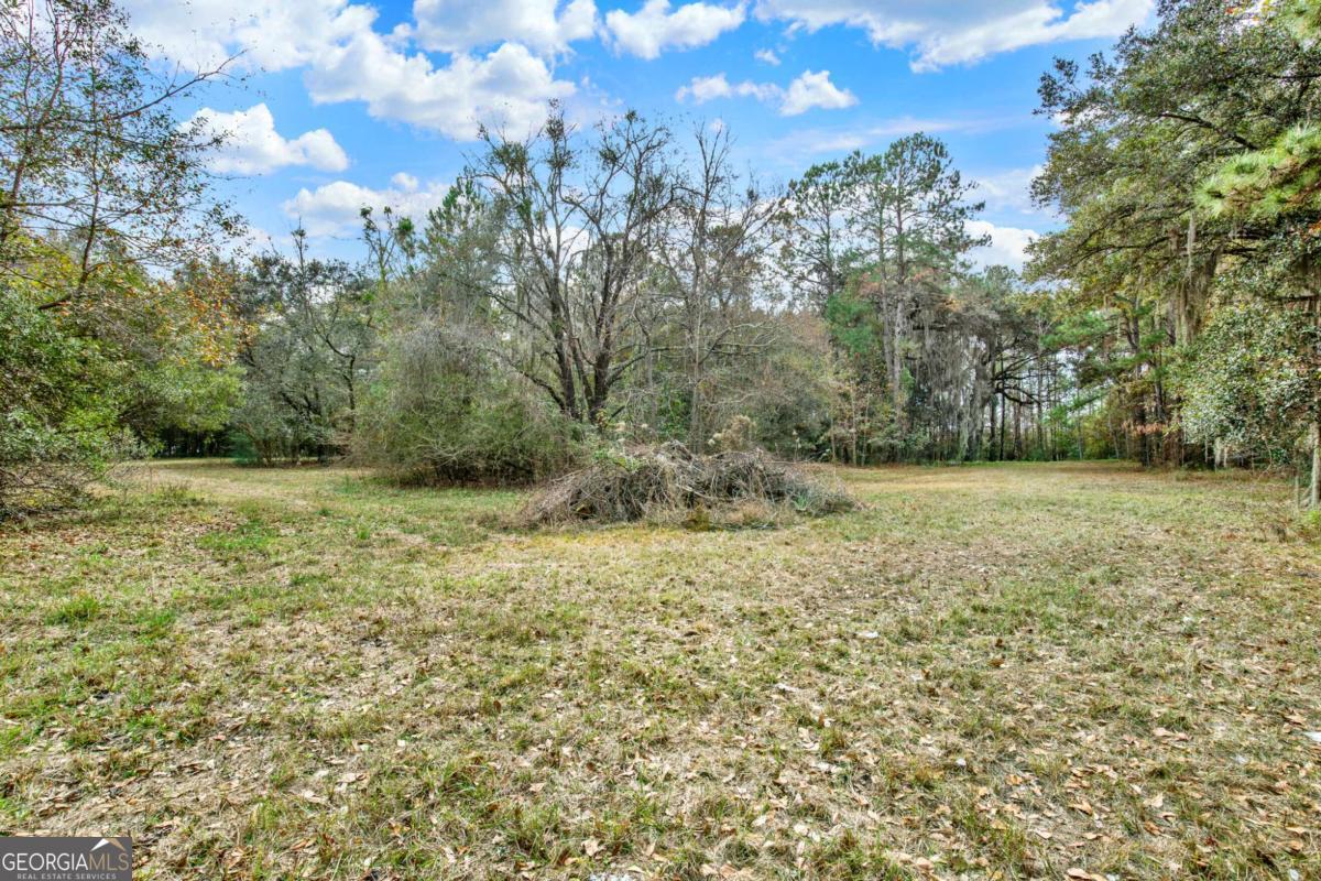 181-199 Burton Road Savannah, GA 31405 - Photo 31 of 34 a view of a field with an trees