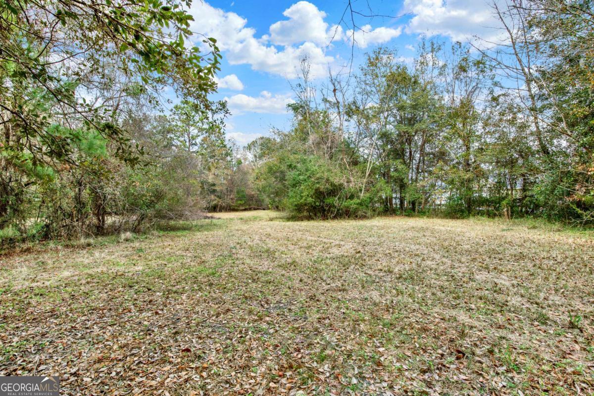 181-199 Burton Road Savannah, GA 31405 - Photo 32 of 34 a view of outdoor space and yard