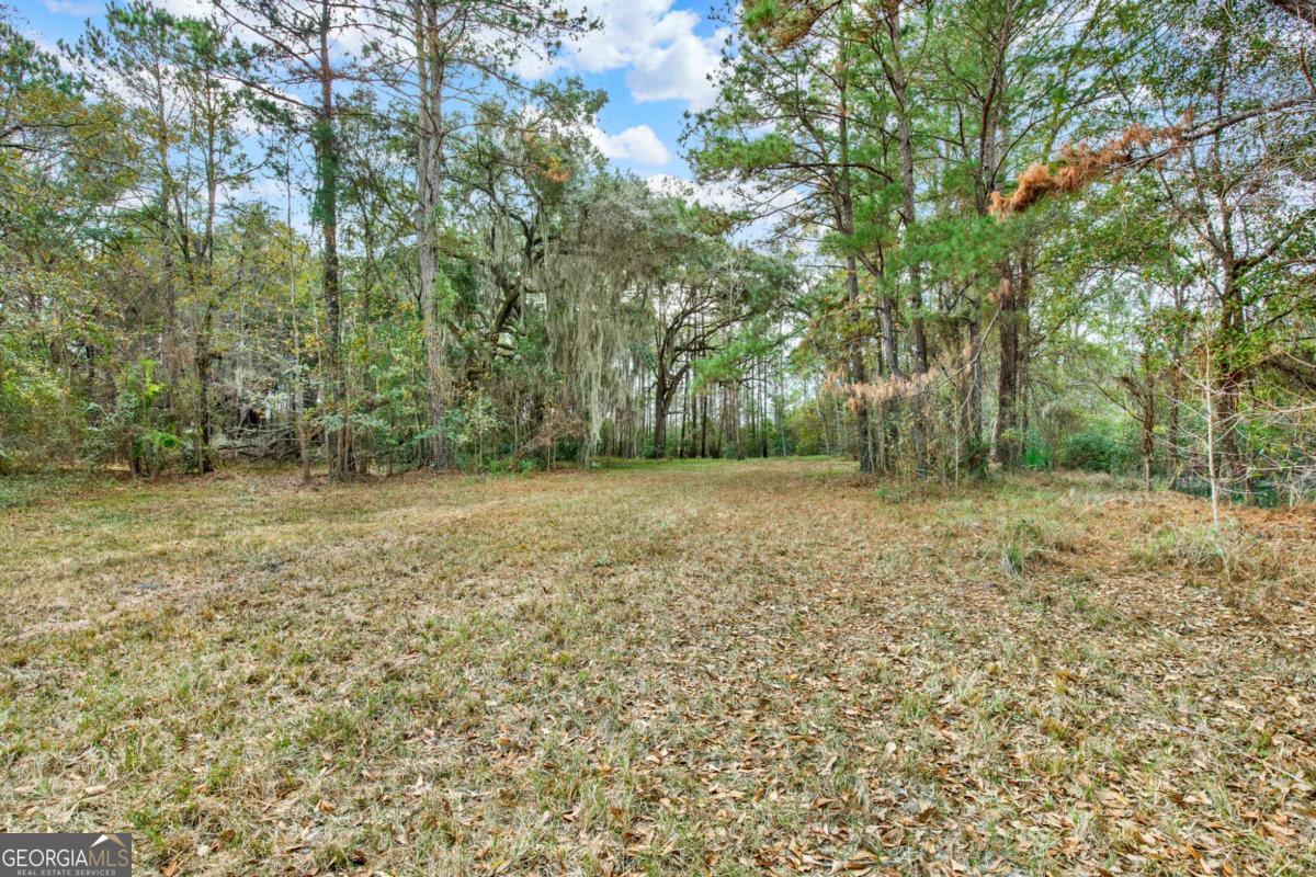 181-199 Burton Road Savannah, GA 31405 - Photo 4 of 34 a view of outdoor space with deck and yard