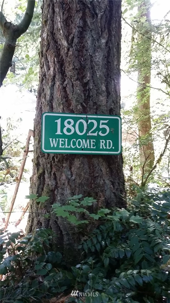 18025 Welcome Road Glacier, WA 98244 - Photo 20 of 25 Gallery Image 20