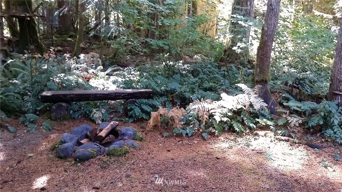 18025 Welcome Road Glacier, WA 98244 - Photo 21 of 25 Gallery Image 21