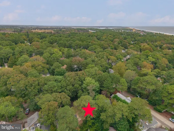 an aerial view of a house with a yard and large trees