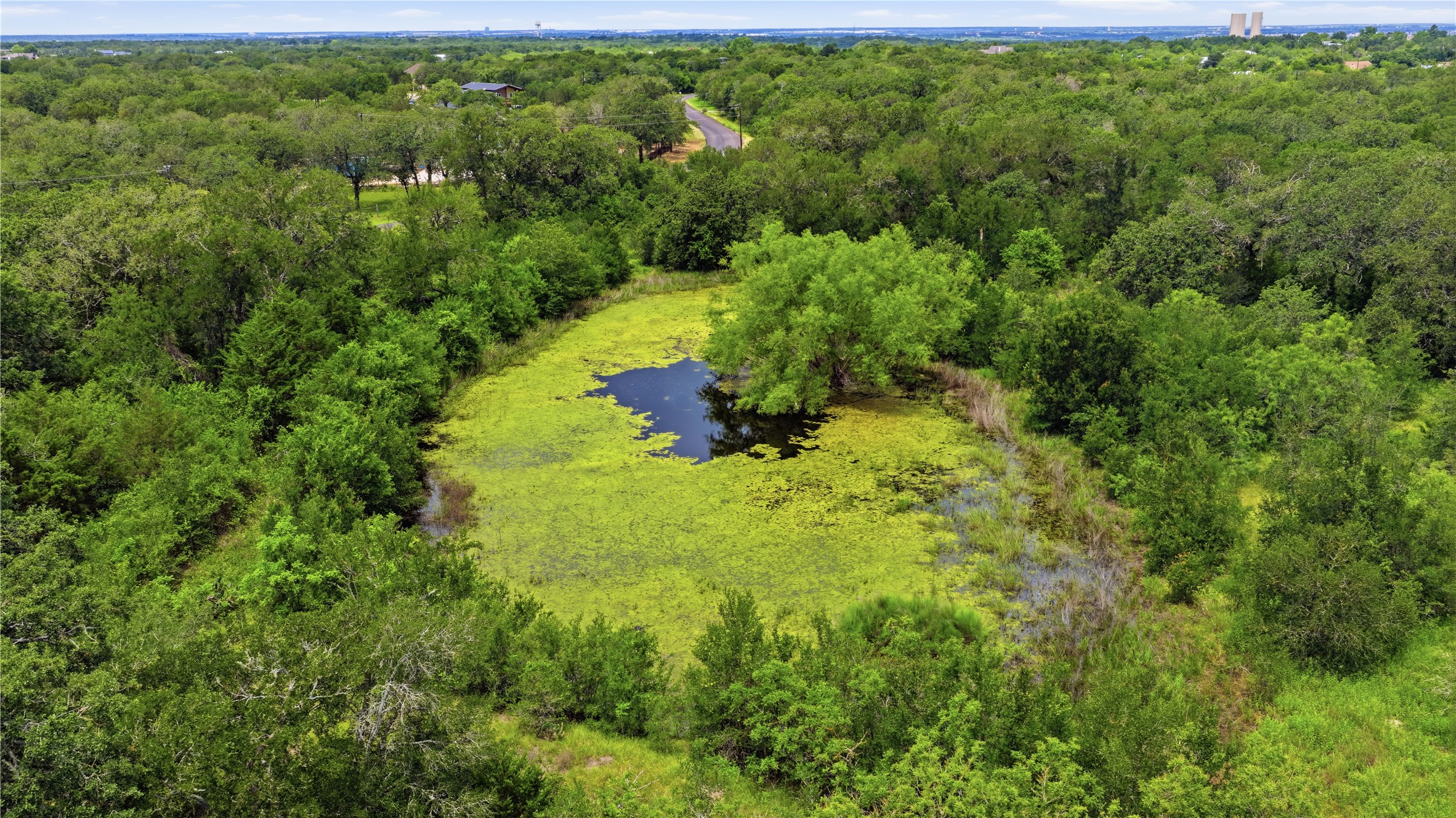 10312 Parsons Road Manor, TX 78653 - Photo 14 of 26 A tranquil pond nestles amidst lush green foliage, offering a private natural retreat.