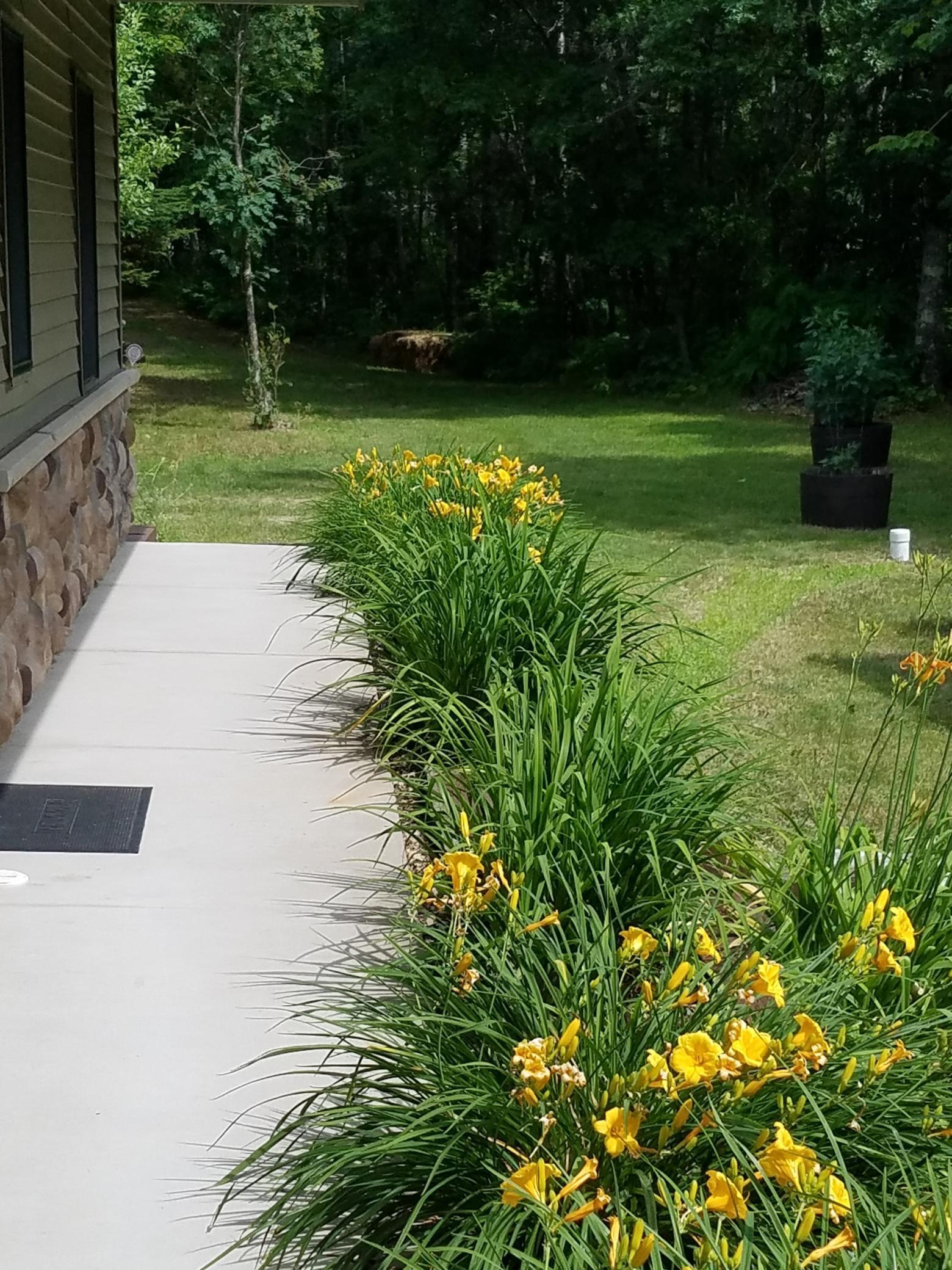 28399 Mayo Hills Road Pequot Lakes, MN 56472 - Photo 8 of 22